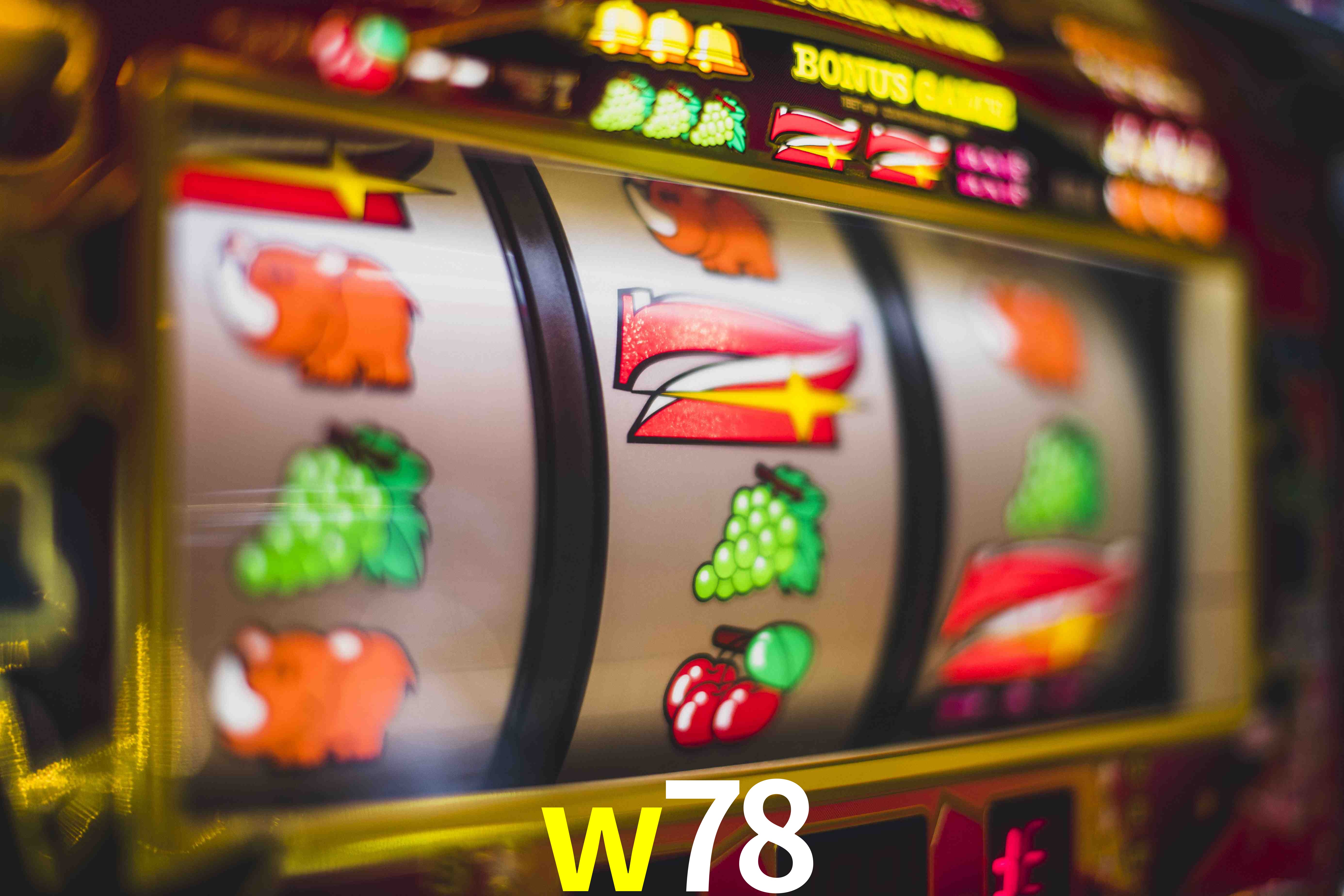 Sports Statistics w78